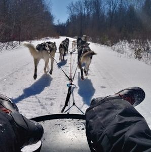 Meet your Posher, Adrienne